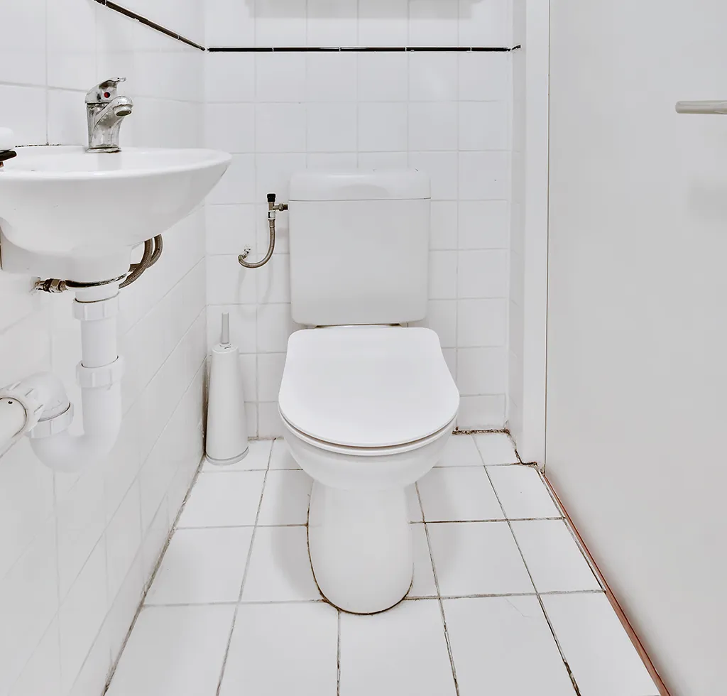 What to Do If You Flush Something by Accident?